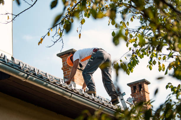 Best Storm Damage Roof Repair  in St Stephen, SC